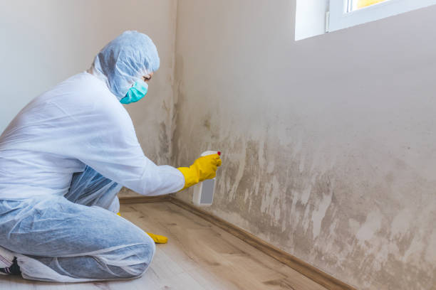 Mold Remediation specialist working in Georgetown